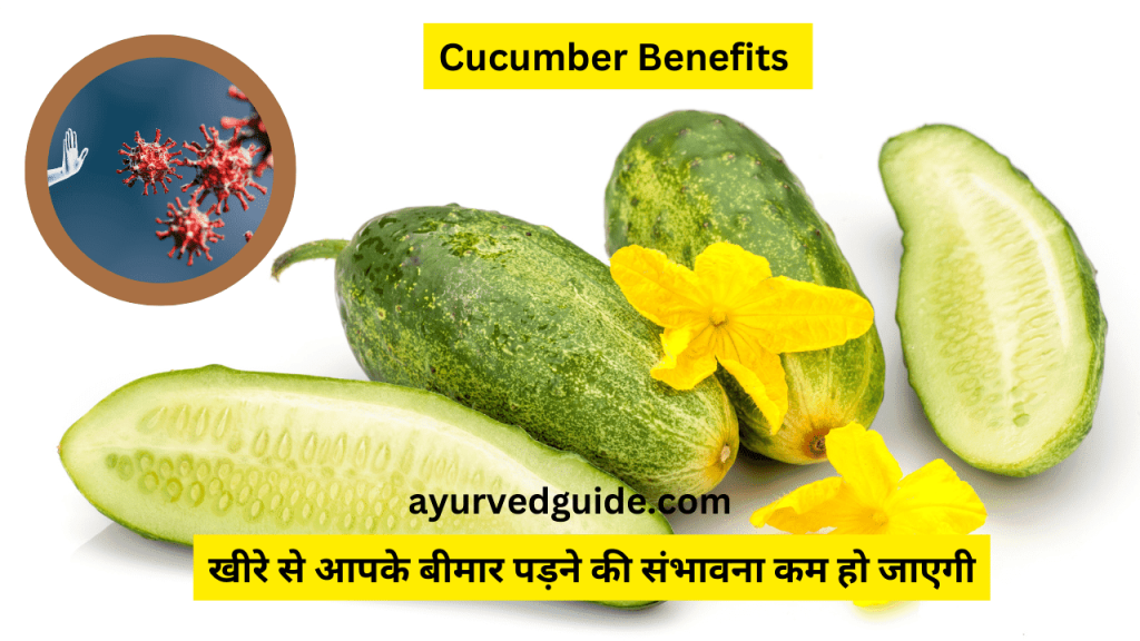 Cucumber Benefits to stay healthy