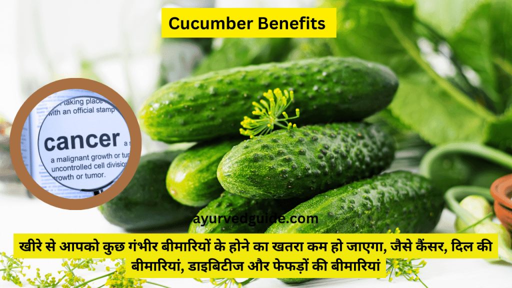 Cucumber Benefits to boost immunity