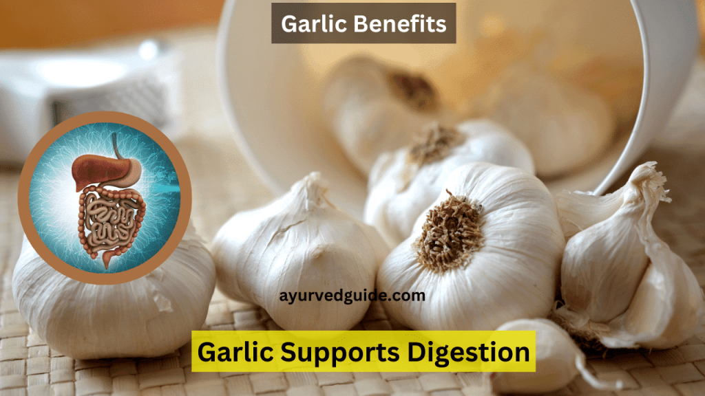 Garlic Benefits